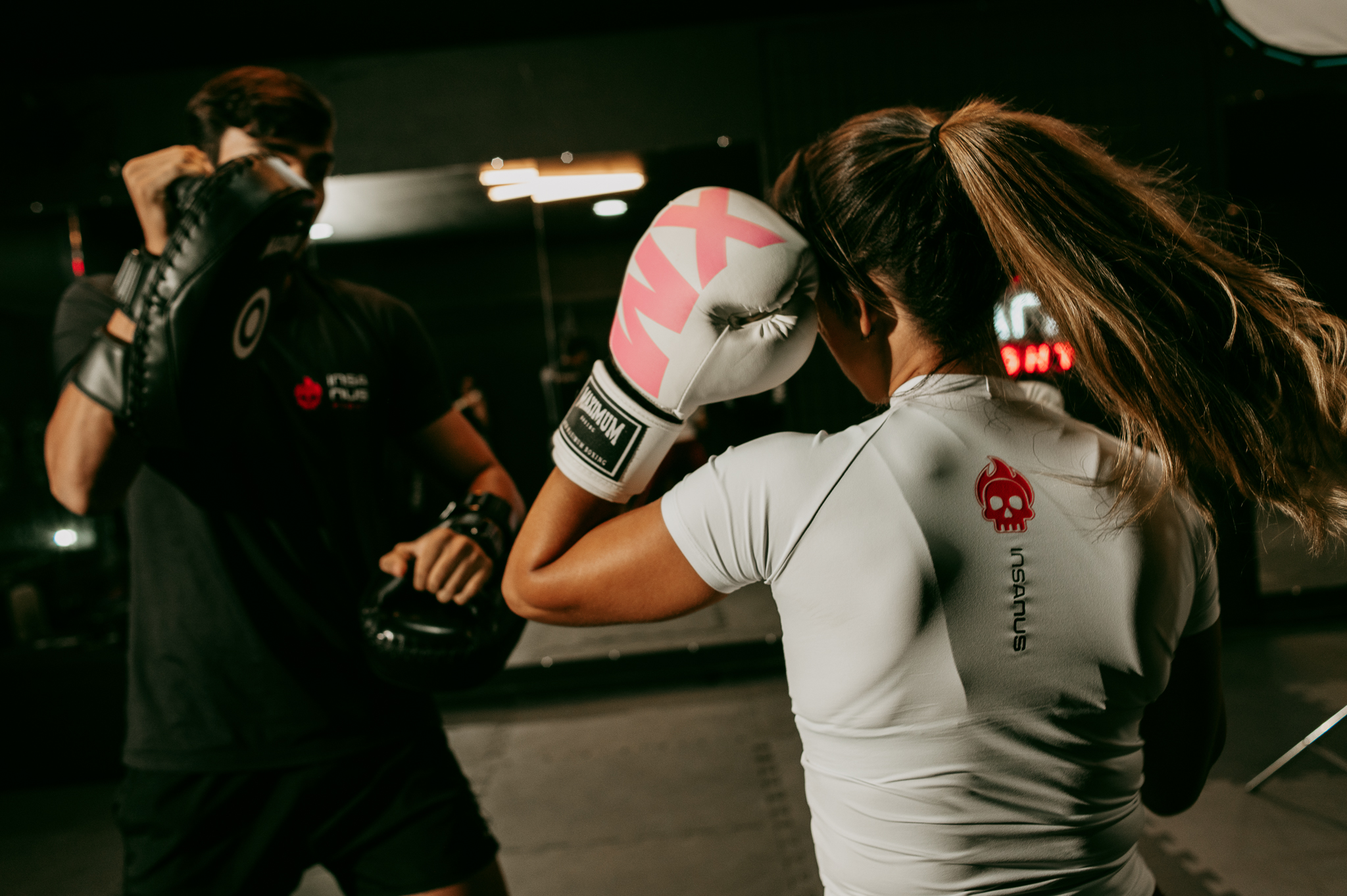 Treino funcional de luta na Insanus Fight